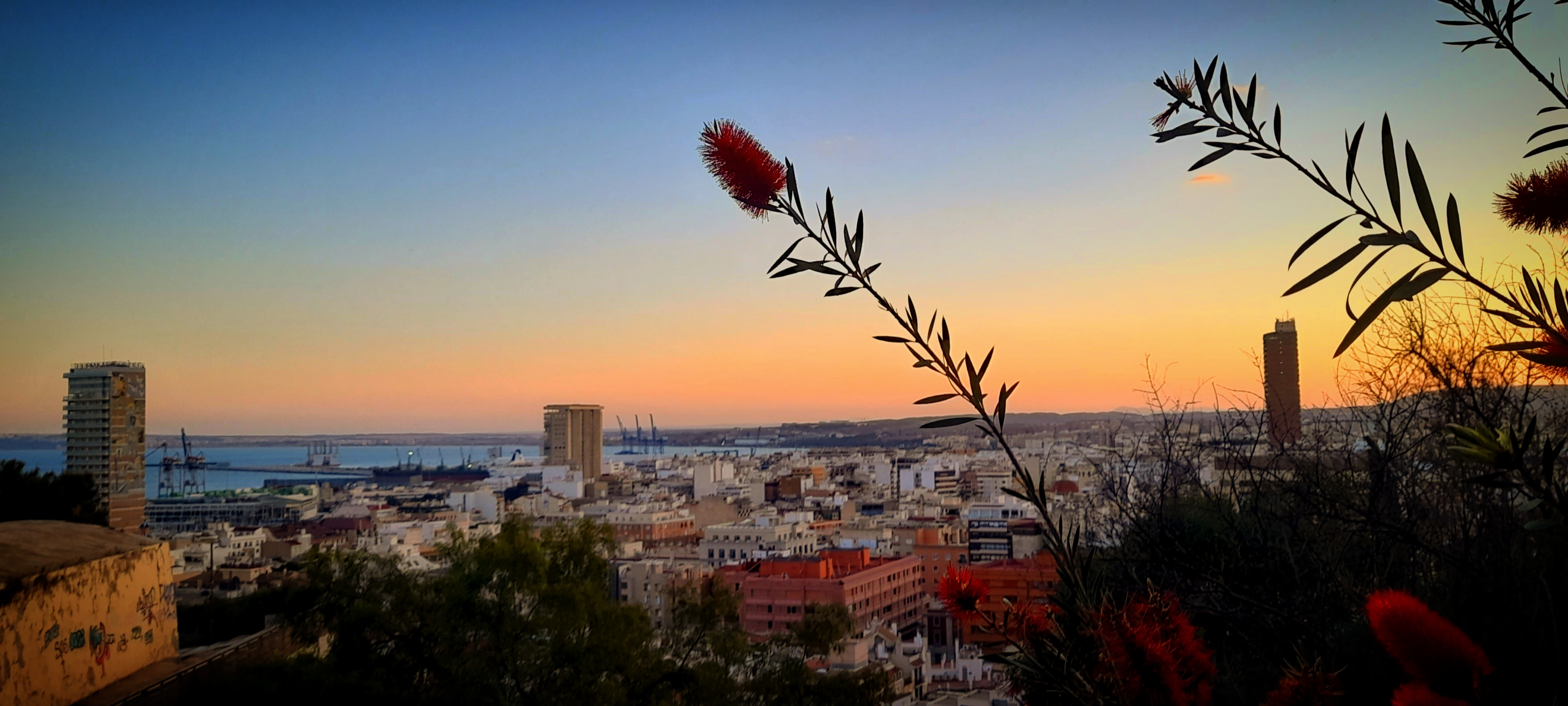 Discover Alicante