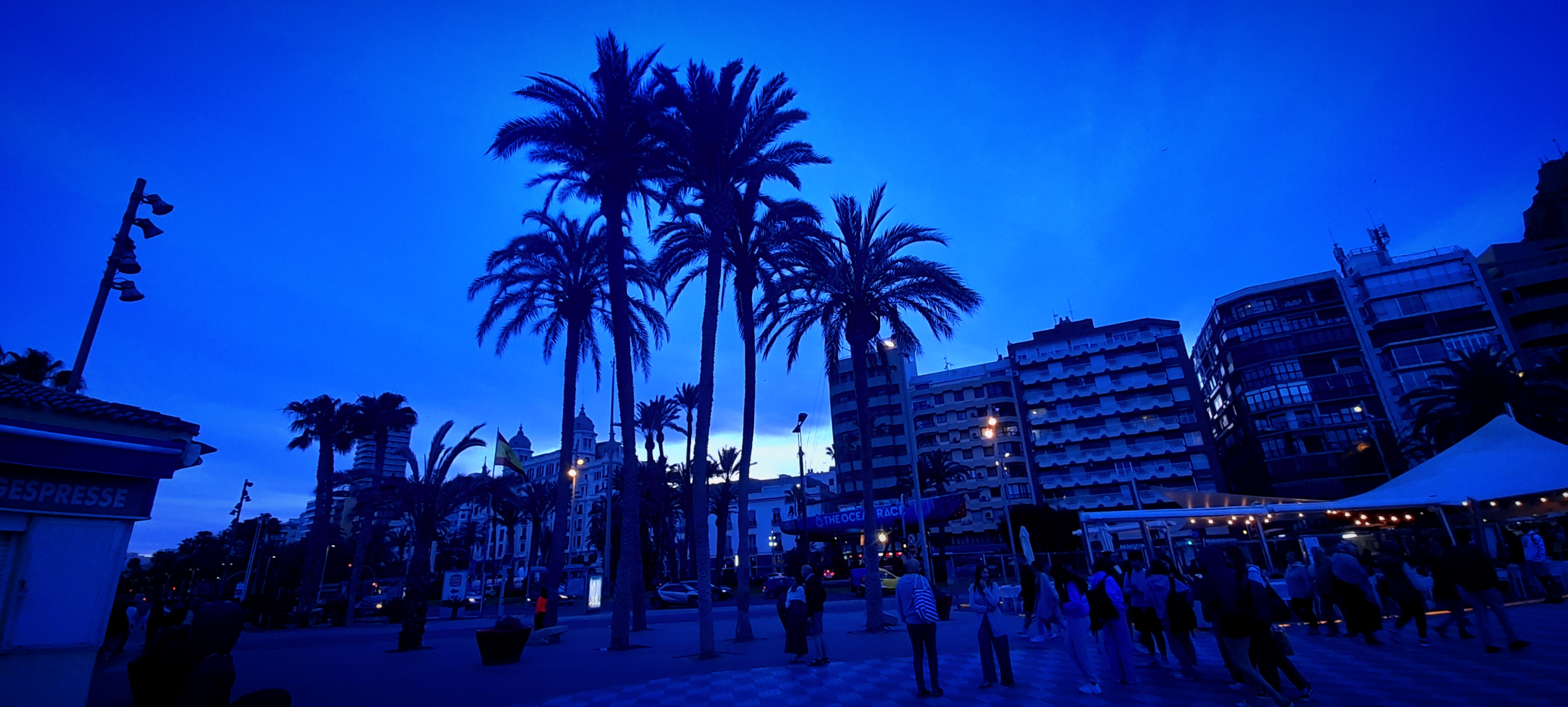Discovering Alicante
